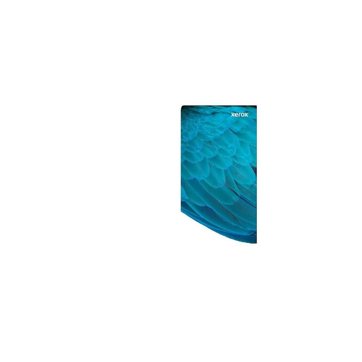 Xerox Cartouche de toner Xerox 106R04349 Noir