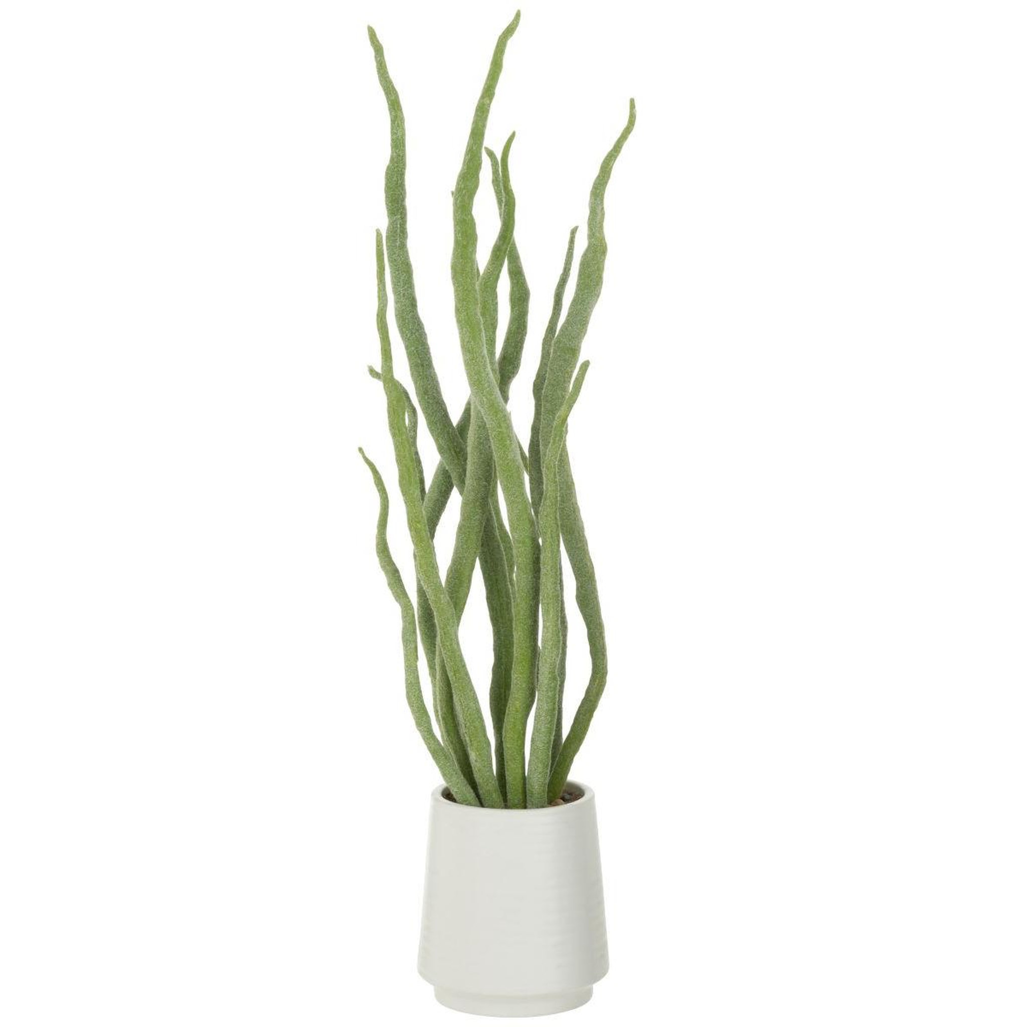 Voir la diapositive 2 : J-LINE Plante artificielle en pot  grasse  92cm vert