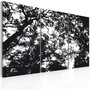 Voir la diapositive 1 : Paris Prix Tableau Imprimé  Forêt Dense