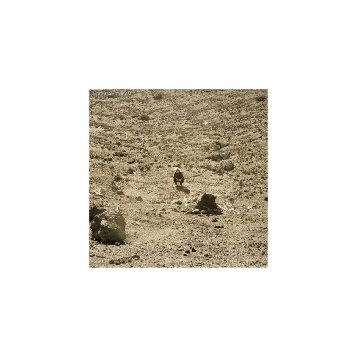 Noonday Dream