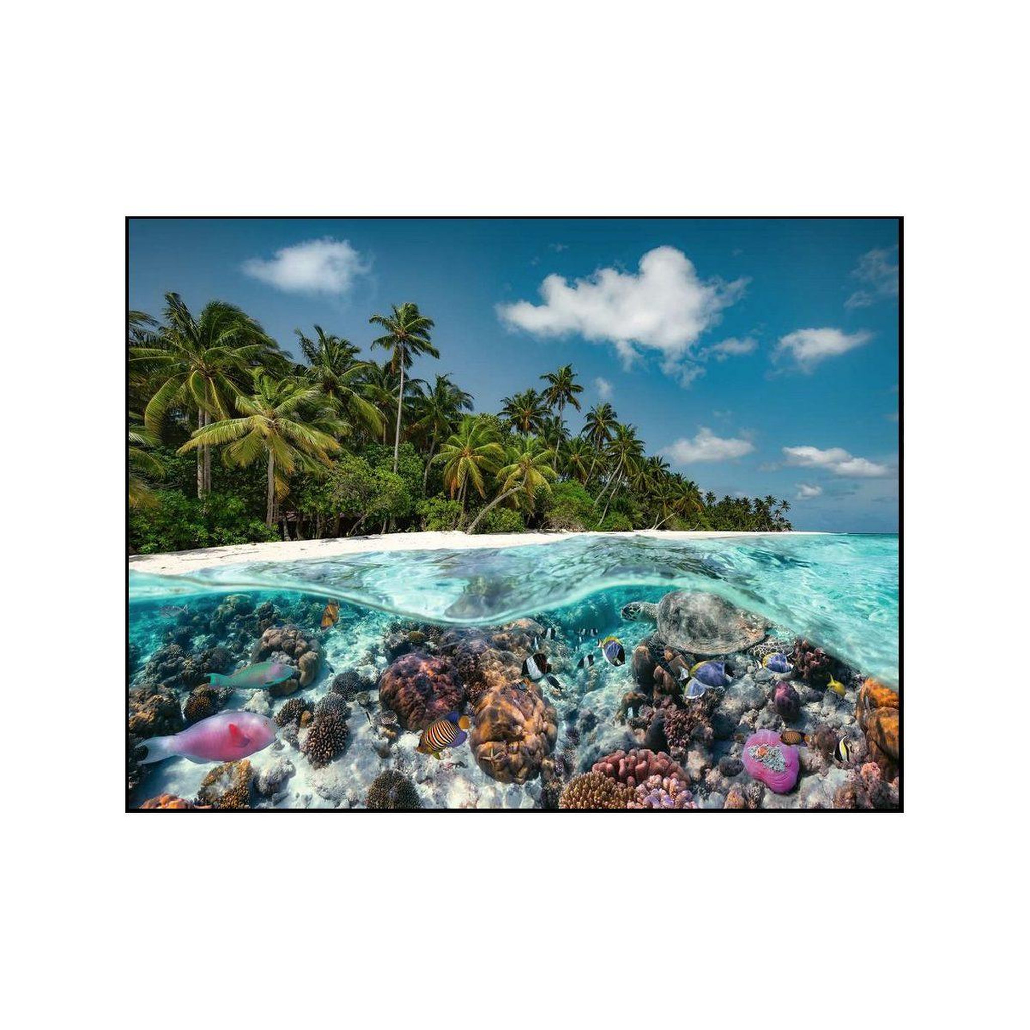 Voir la diapositive 2 : RAVENSBURGER Puzzle adultes une plongee aux maldives - 2000 pcs