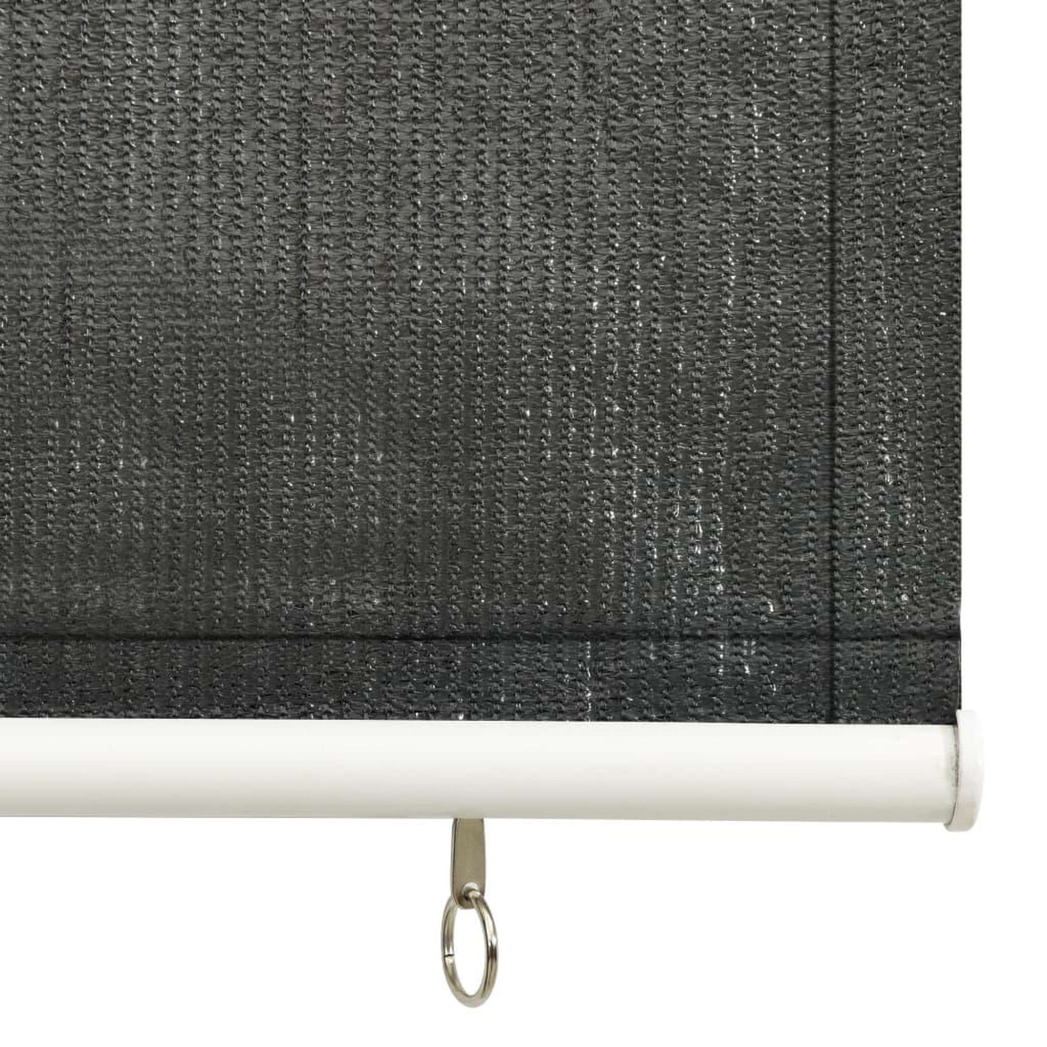 Voir la diapositive 4 : VIDAXL Store roulant d'exterieur 60x140 cm Anthracite