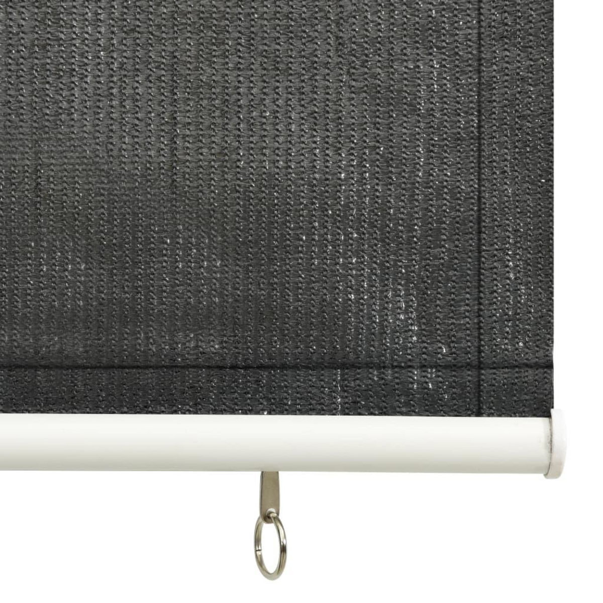 VIDAXL Store roulant d'exterieur 60x140 cm Anthracite