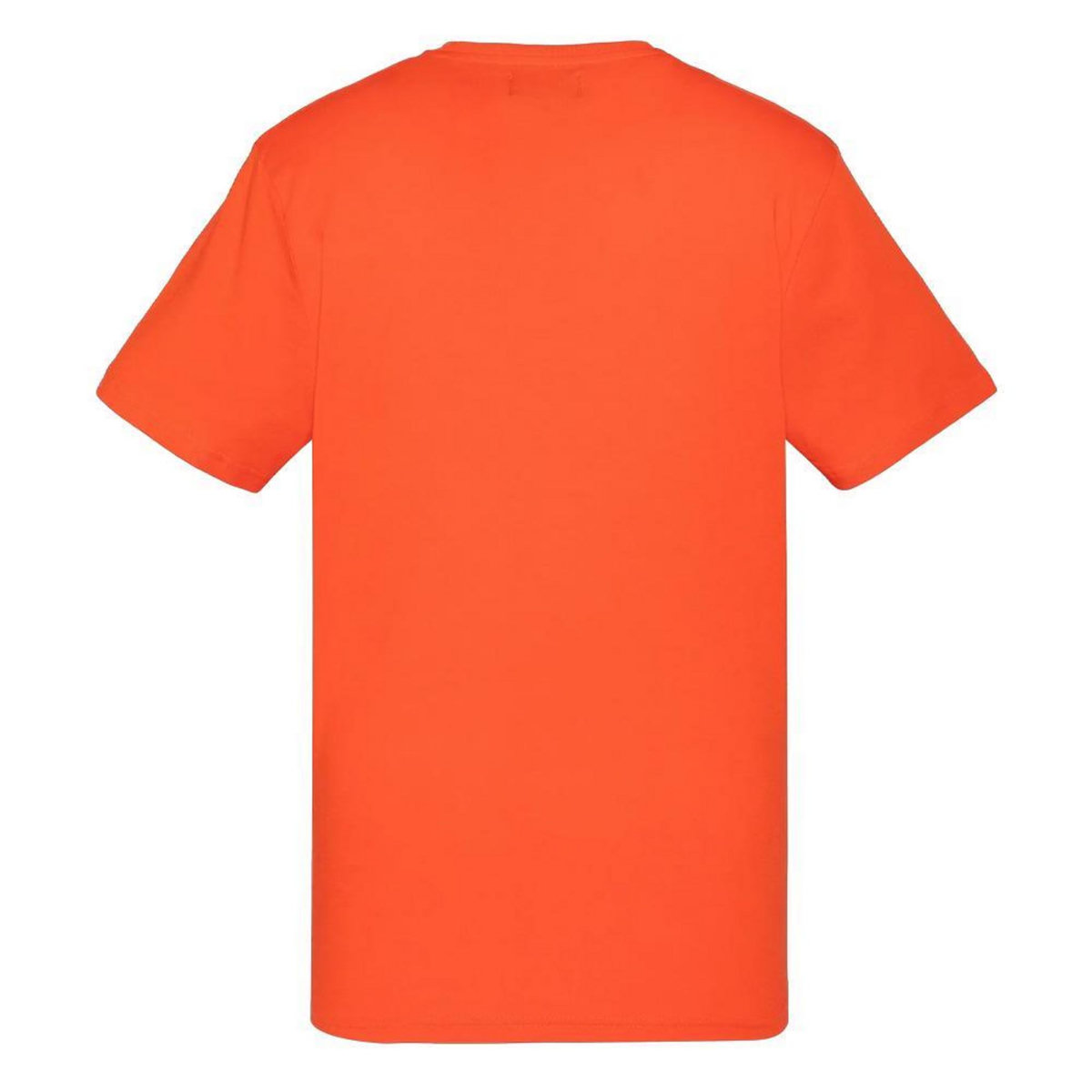 Schott T shirt  Homme Schott TSUSTOUR