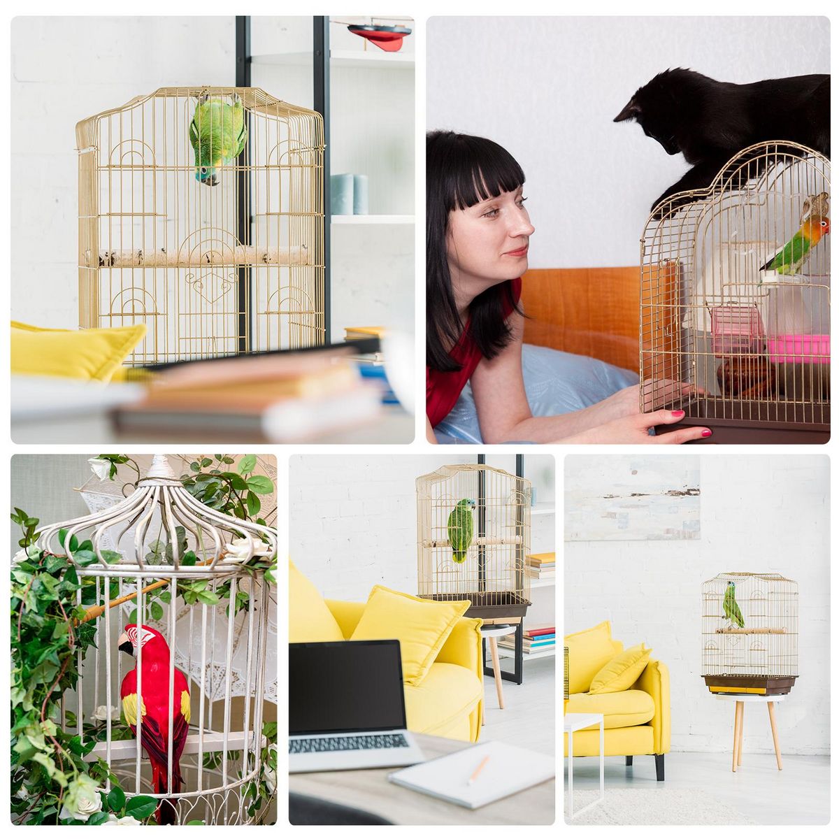 PAWHUT PawHut Cage à oiseaux volière avec mangeoires perchoirs plateau amovible dim. 48L x 36l x 91H cm métal PS noir