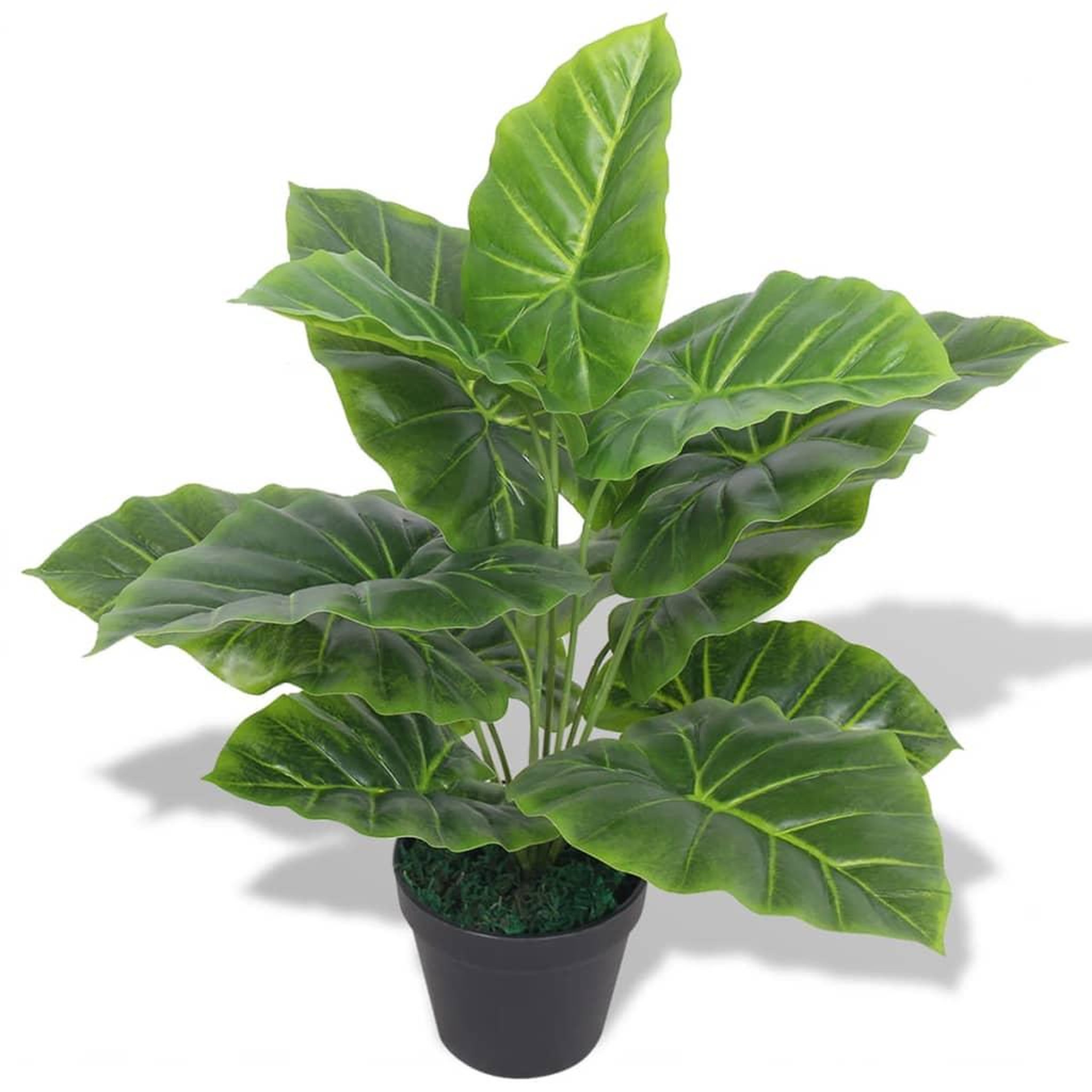 Voir la diapositive 1 : VIDAXL Plante Taro artificielle avec pot 45 cm Vert