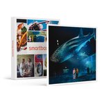 Smartbox Sortie en famille : entrées pour 2 adultes et 2 enfants à l'aquarium Nausicaá en basse saison - Coffret Cadeau Sport & Aventure