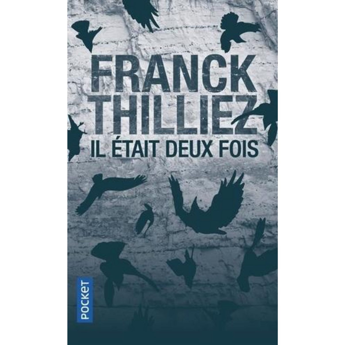 IL ETAIT DEUX FOIS, Thilliez Franck