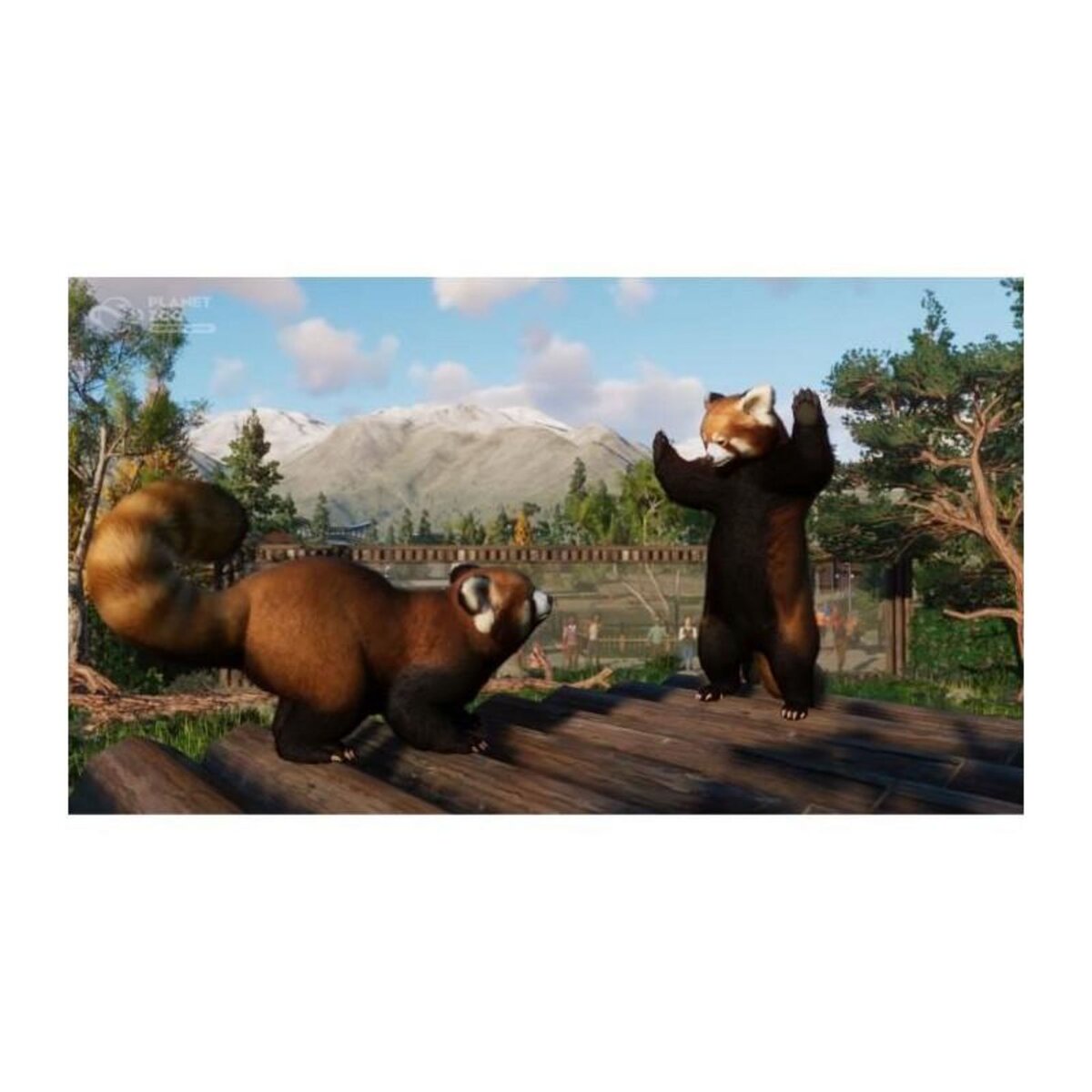 Just for games Planet Zoo Console Edition - Jeu Xbox Series X