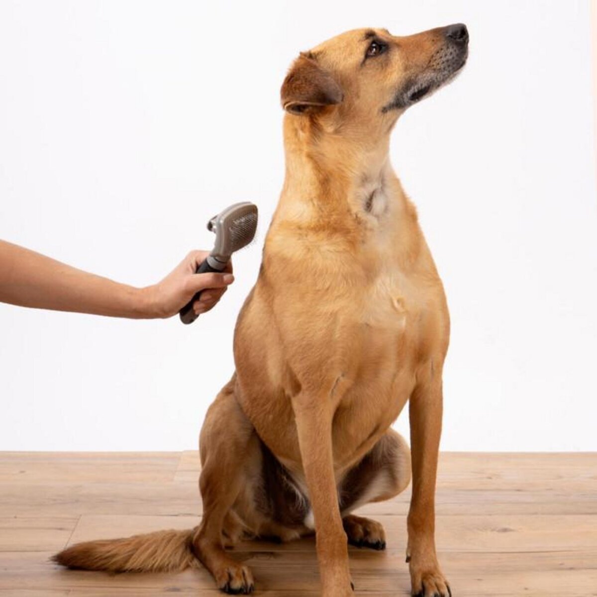 Paris Prix Brosse de Toilettage  Manche Ergonomique  19cm Gris