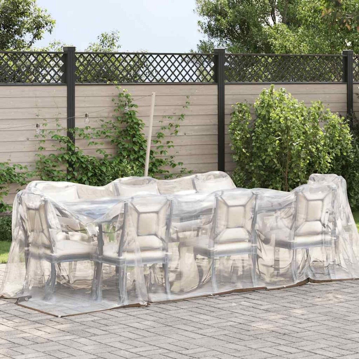 VIDAXL Bache transparente avec œillets 2x6 m polyethylene