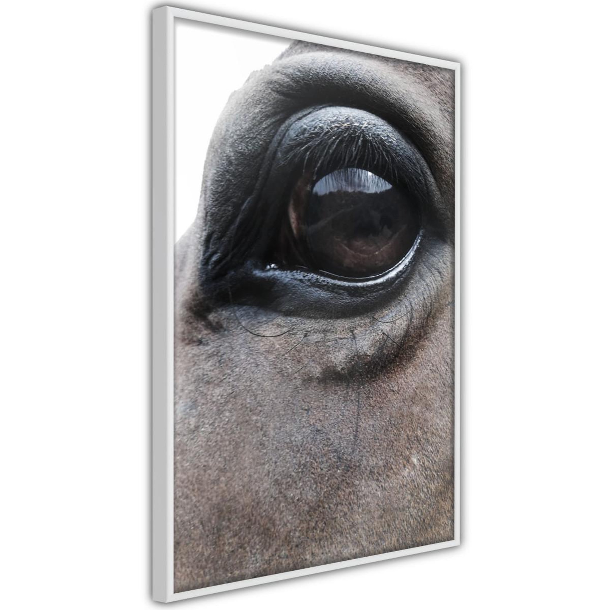 Paris Prix Affiche murale encadrée  gentle eyes