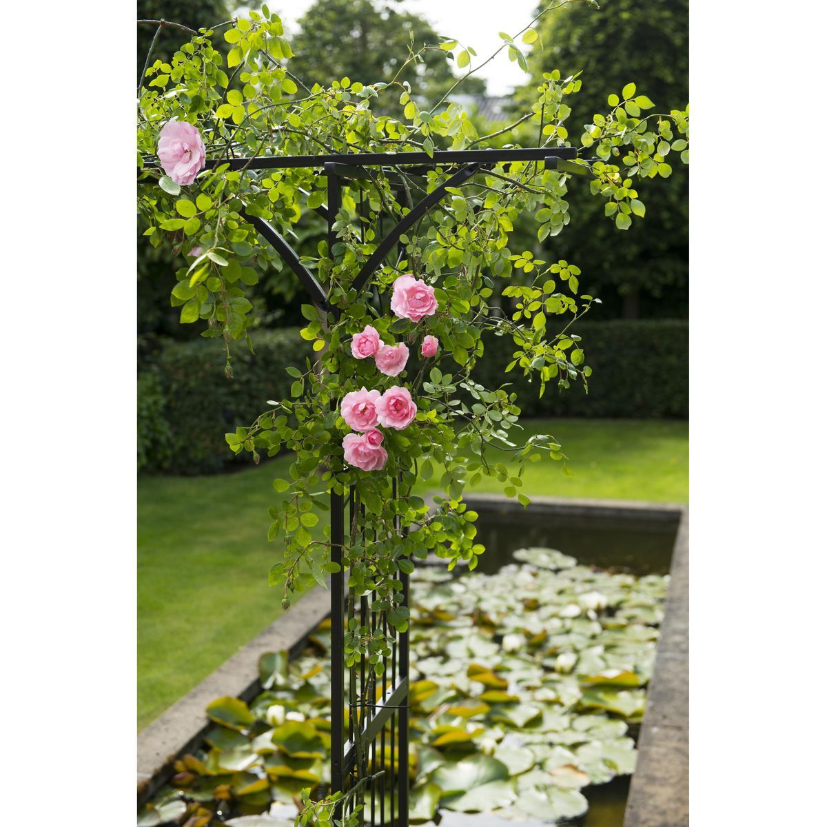 Nature Pergola double droite en acier galvanisé noir