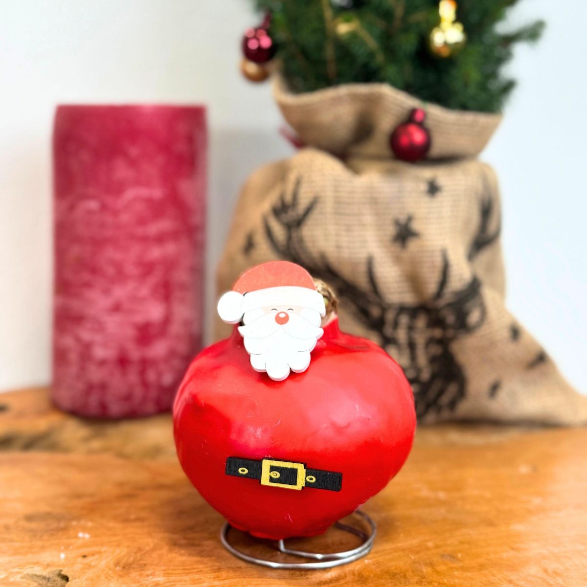 PLANT IN A BOX Amaryllis - Hippeastrum 'Spécial Cire Père Noël'