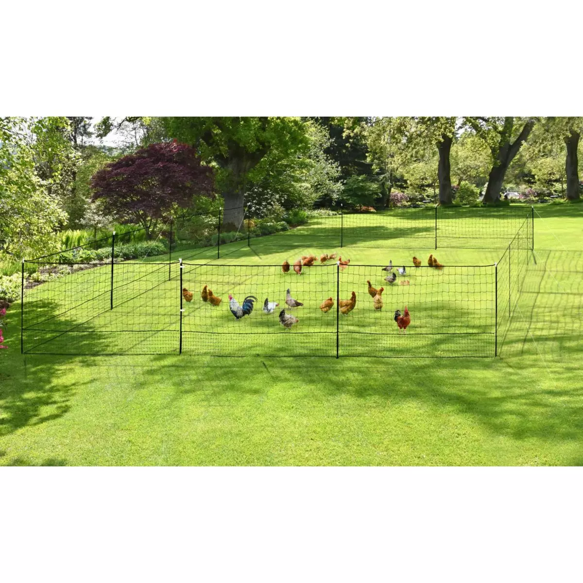 Jardikt Kit clôture Nomade pour poules 50m