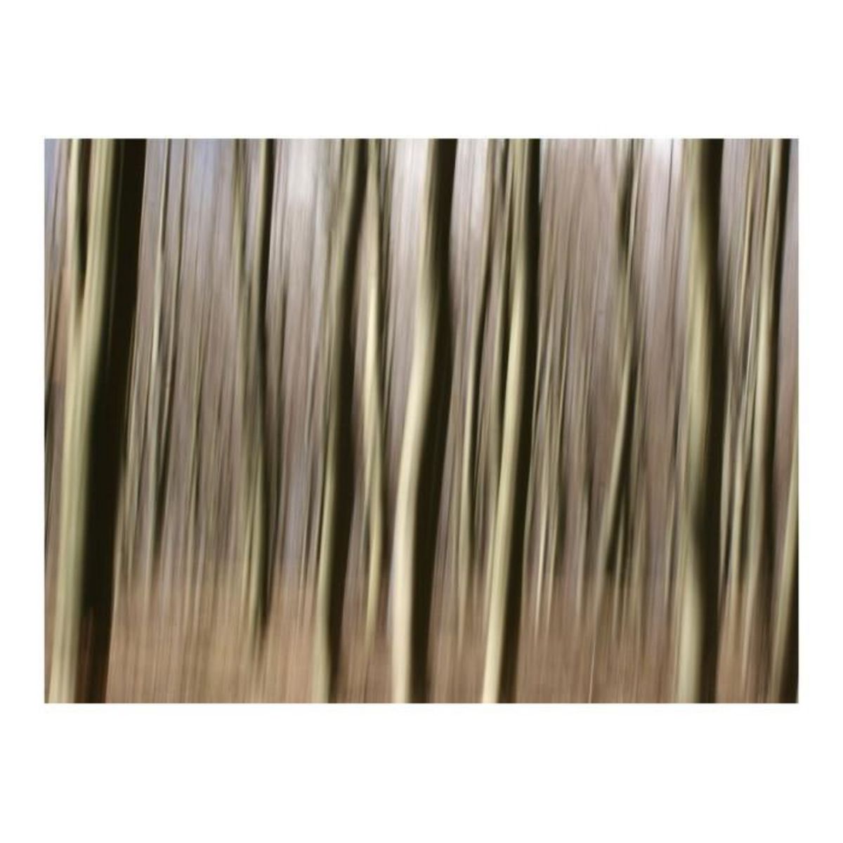 Paris Prix Papier Peint  Forêt