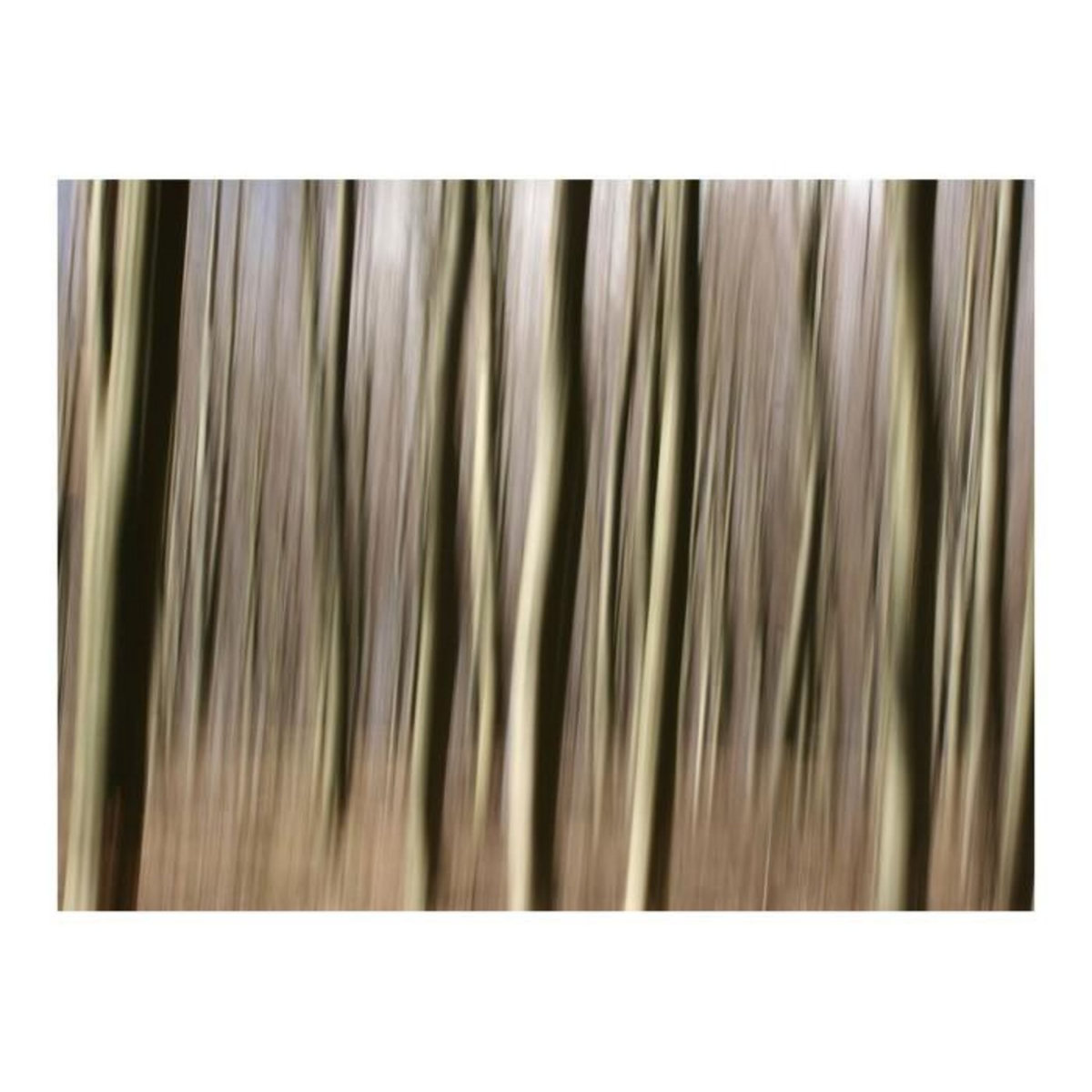 Paris Prix Papier Peint  Forêt