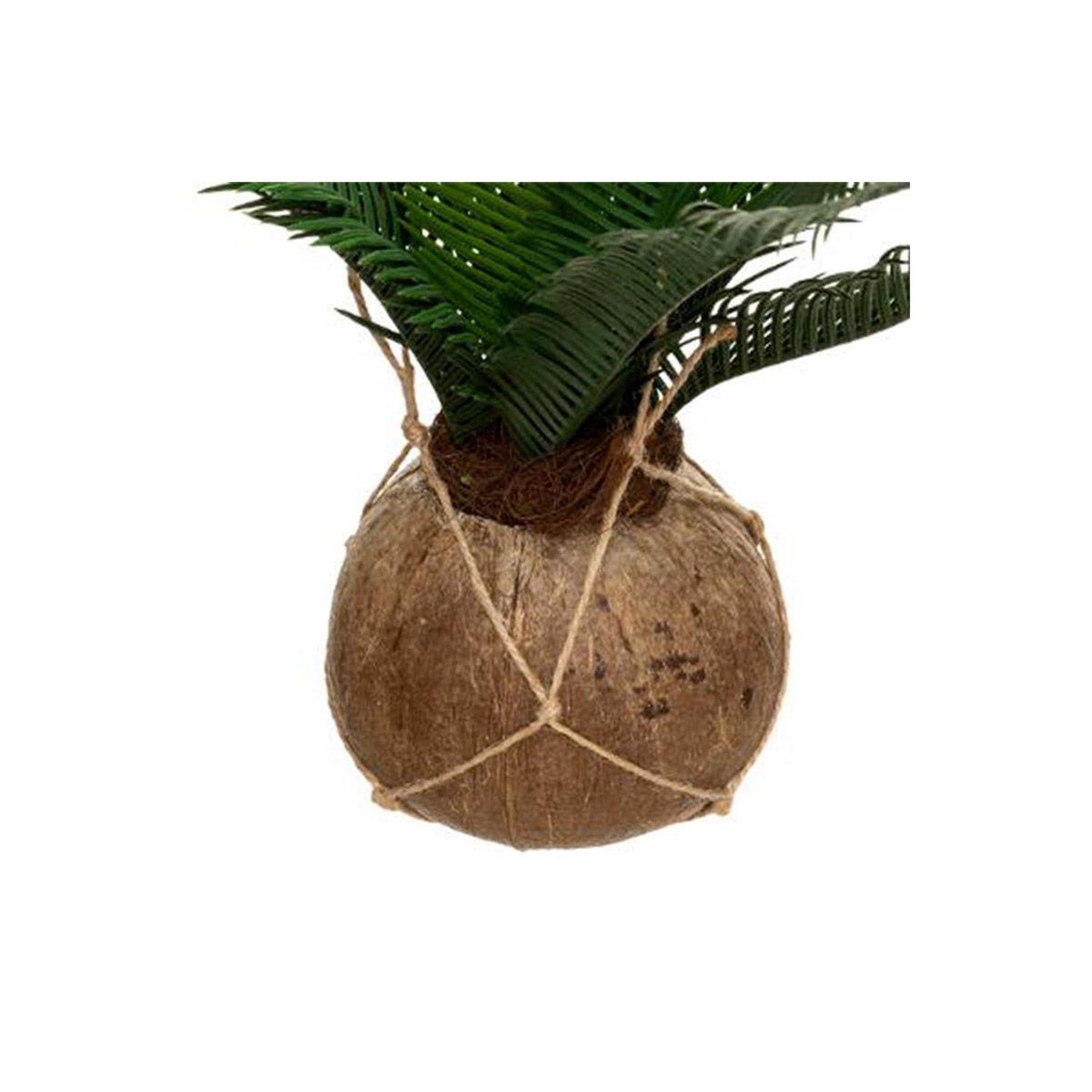 Voir la diapositive 2 : ATMOSPHERA Plante artificielle palmier  cuba  55cm vert