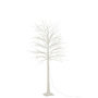 Voir la diapositive 2 : Paris Prix Arbre 2000 LED  Automn  180cm Blanc