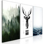Voir la diapositive 1 : Paris Prix Tableau Imprimé  Chilly Nature Collection