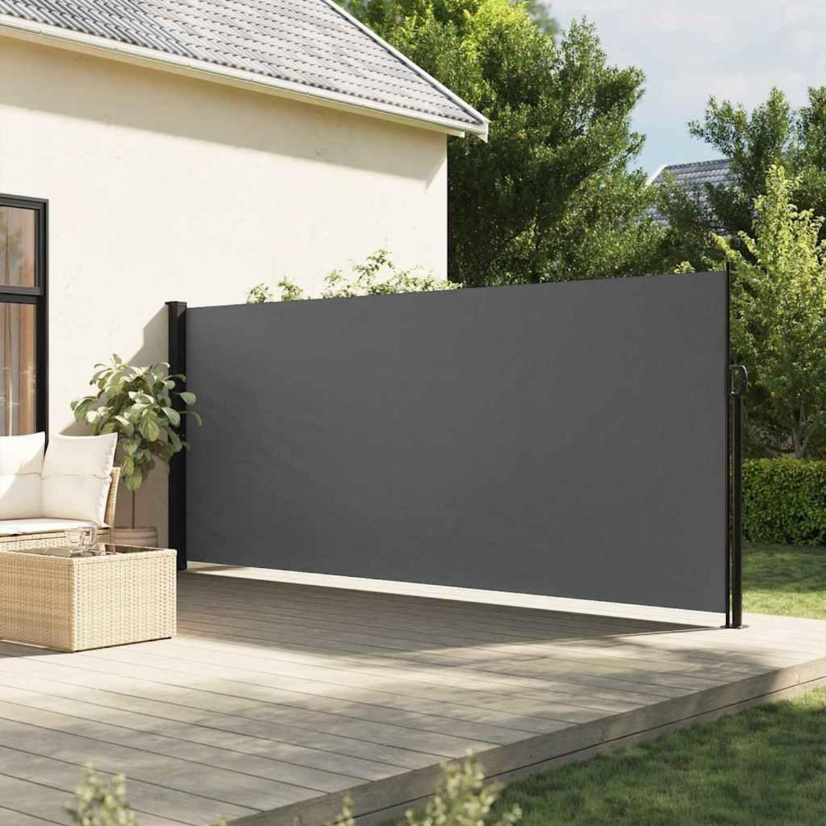 VIDAXL Auvent lateral retractable anthracite 160x500 cm