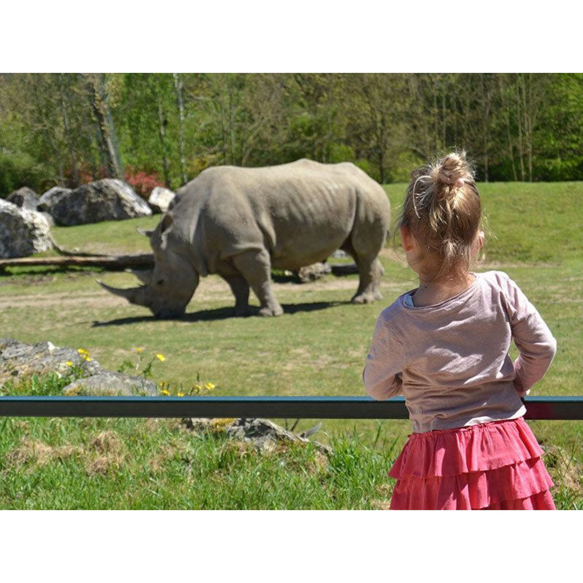 Smartbox Séjour au ZooParc de Beauval en 2025 : 2 journées et 1 nuit à proximité pour 2 adultes - Coffret Cadeau Multi-thèmes