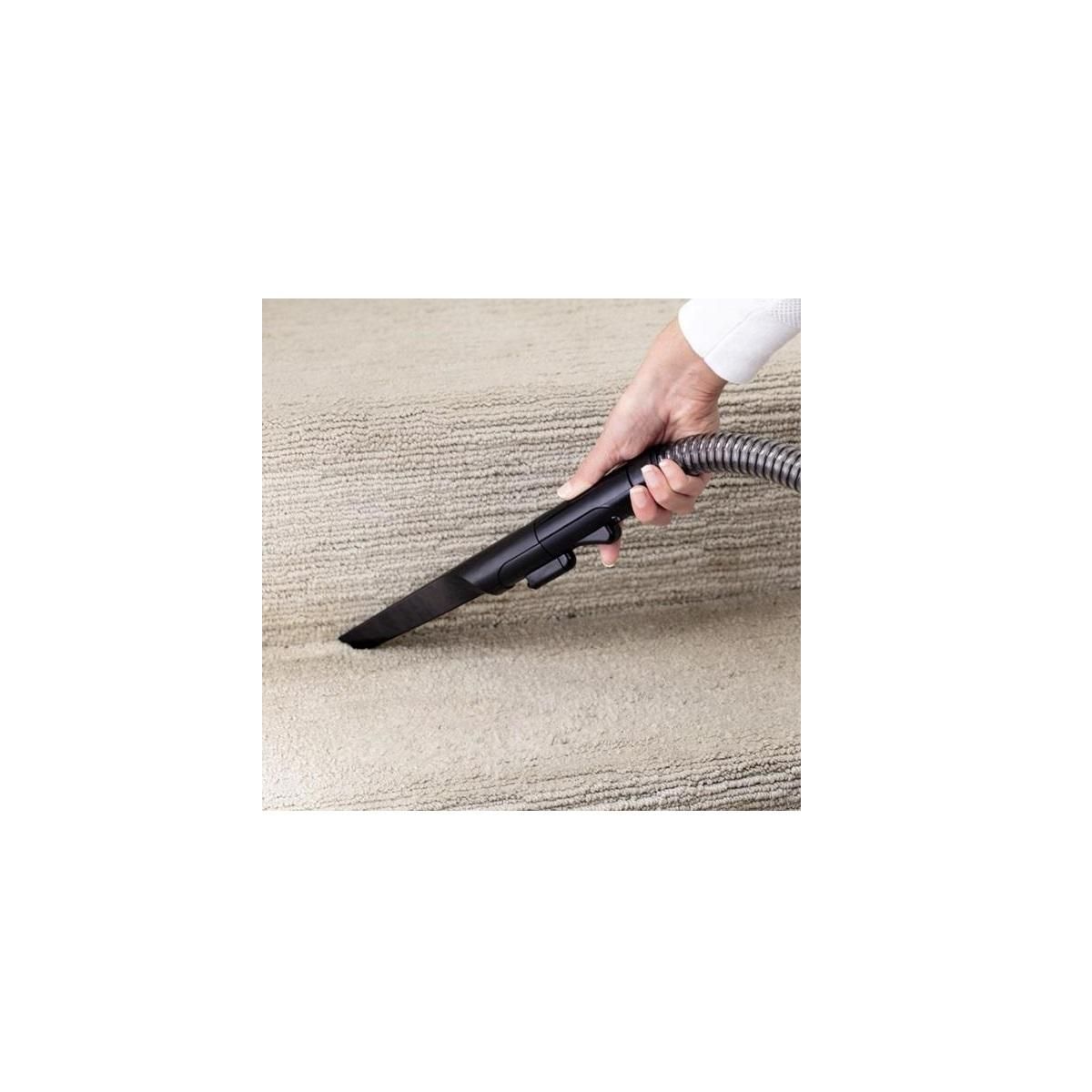 BISSELL Nettoyeur vapeur traîneau 750w - 15589