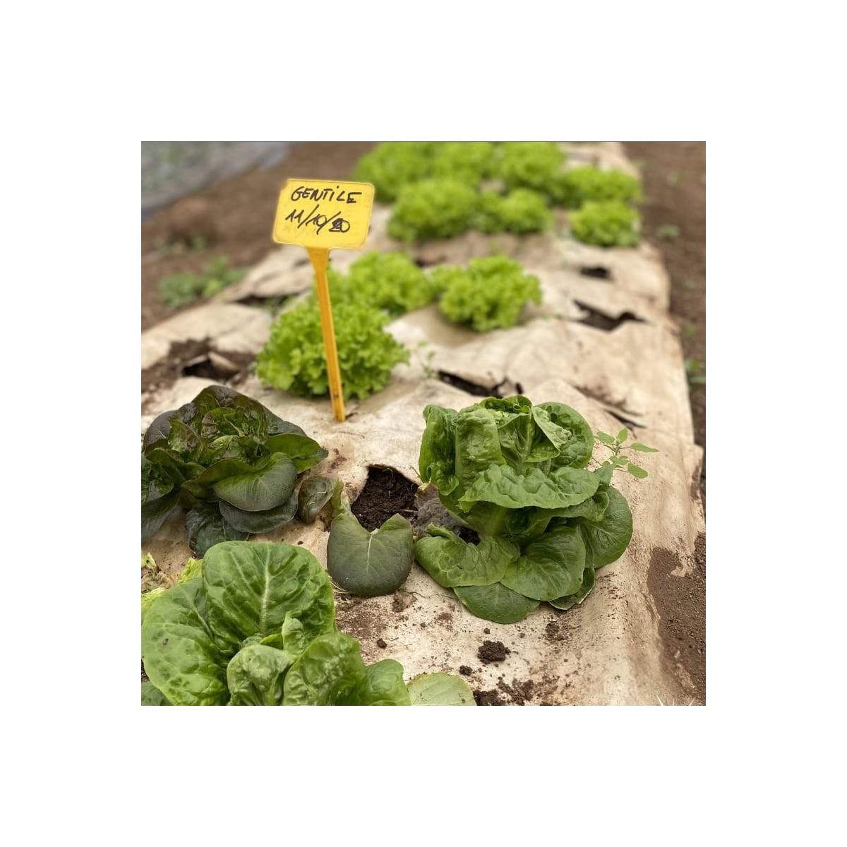 KZ GARDEN Toile de paillage Papier Kraft 0.90 x 100m Autodégradable Paillage pour Jardin Anti mauvaises herbes 100% Cellulose