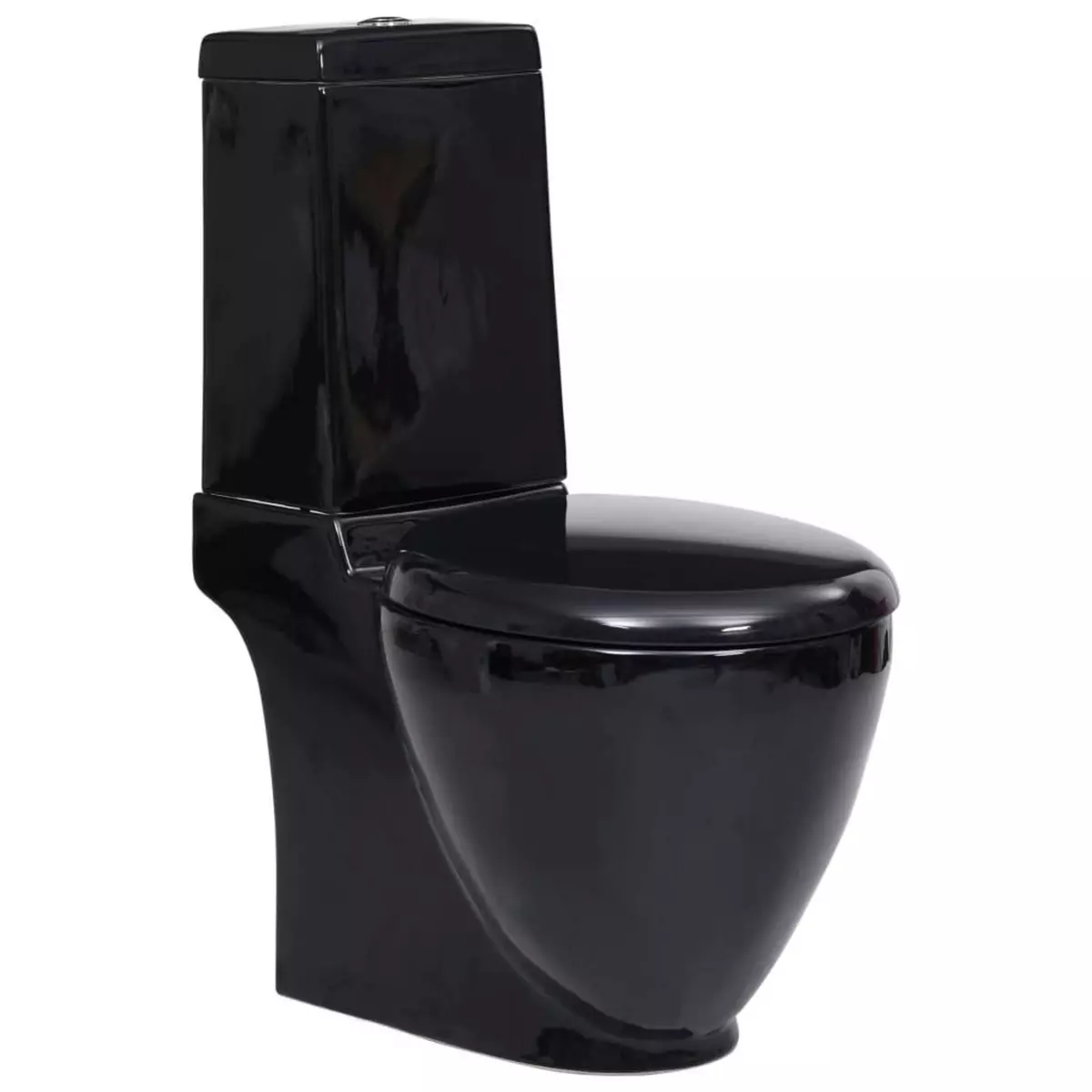 VIDAXL Toilette en ceramique ecoulement d'eau a l'arriere noir