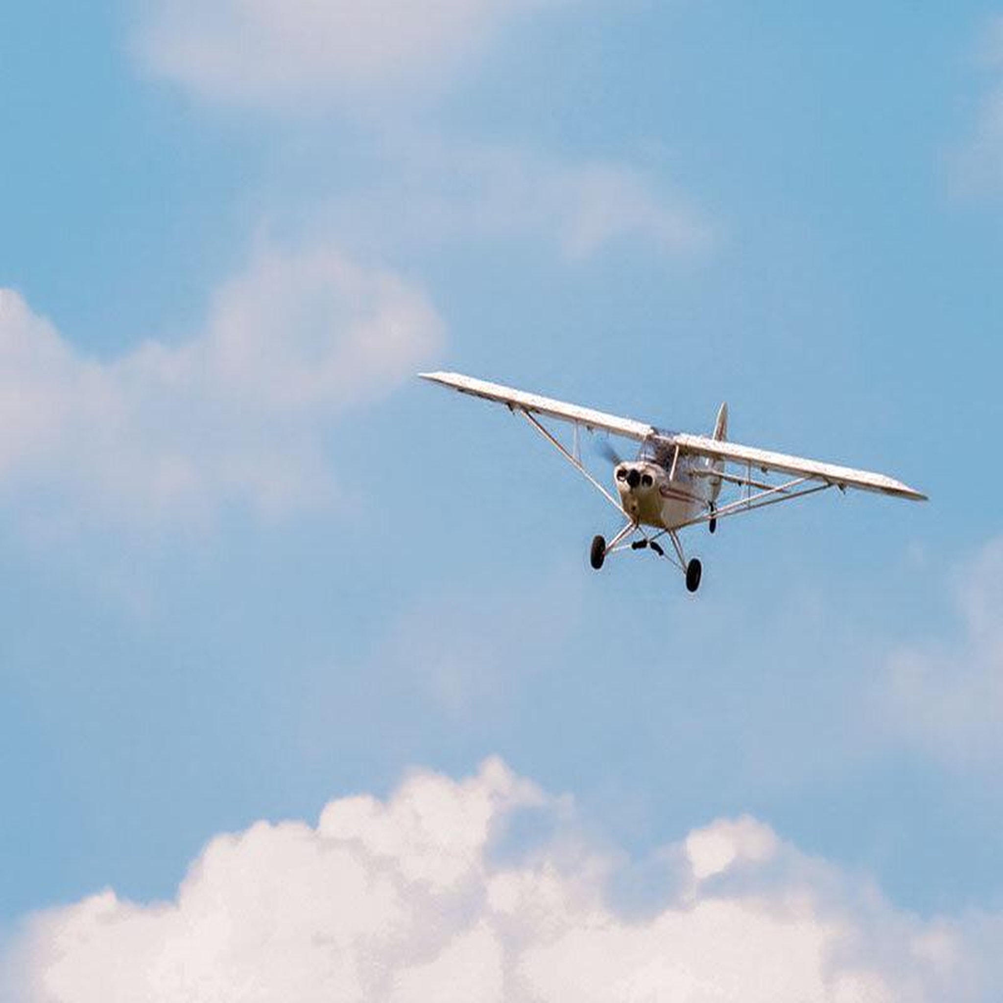 Voir la diapositive 2 : Smartbox Vol en avion ultra-léger d'1h près de Colmar - Coffret Cadeau Sport & Aventure