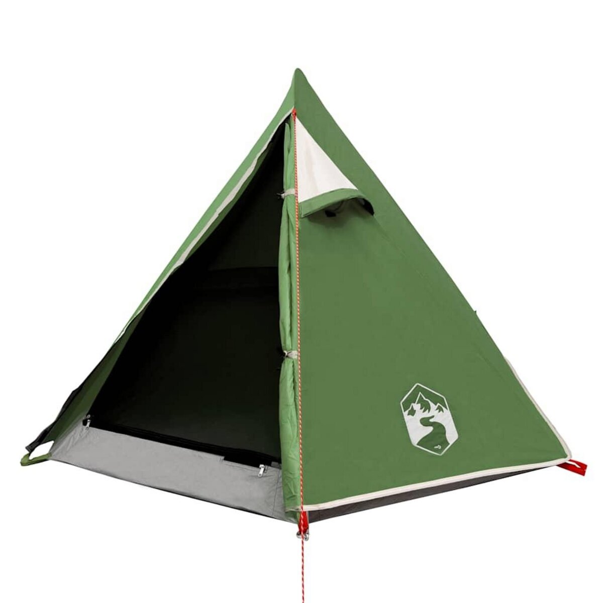 VIDAXL Tente de camping a dome 2 personne vert impermeable