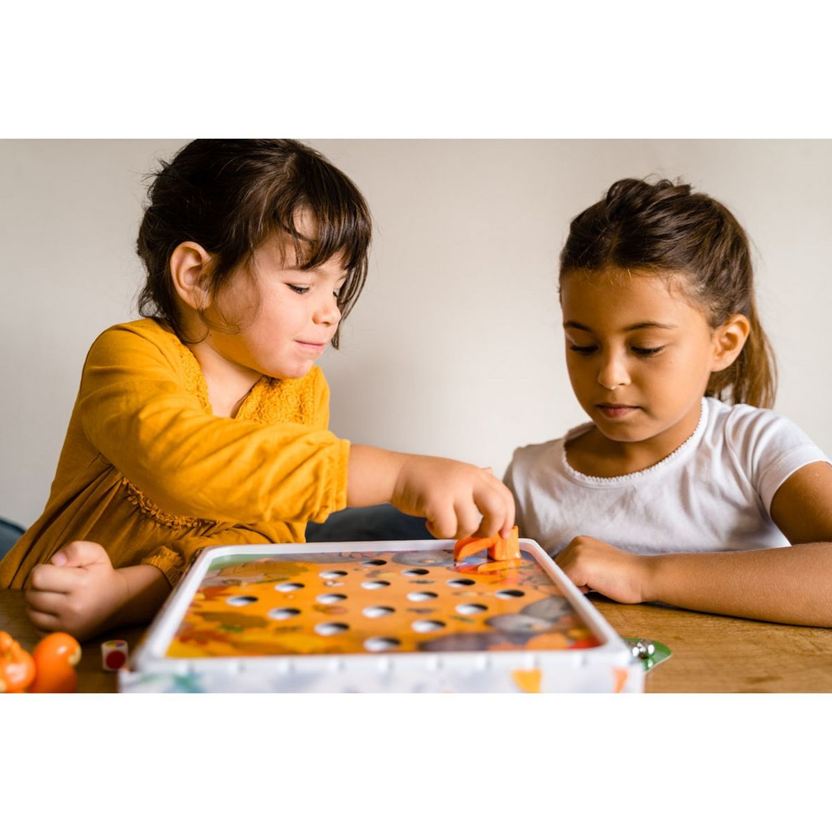 DISET Jeu SOS Noisettes 