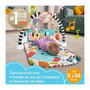 Voir la diapositive 2 : FISHER PRICE FISHER-PRICE Tapis Piano éveil-Tapis d'activités avec éveil musical - Fisher-Price - HWY56
