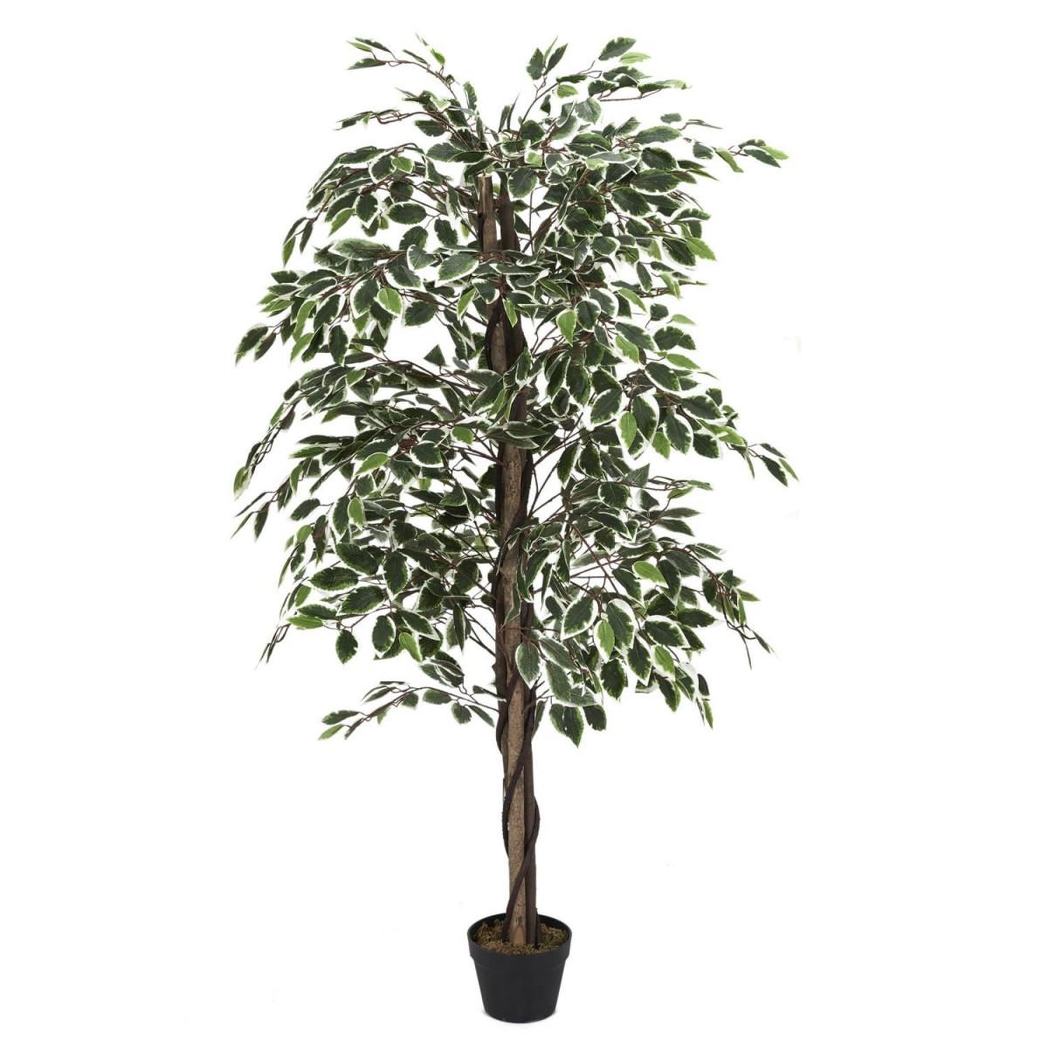 The Home Deco Factory Plante artificielle  feuillage panache  160cm vert