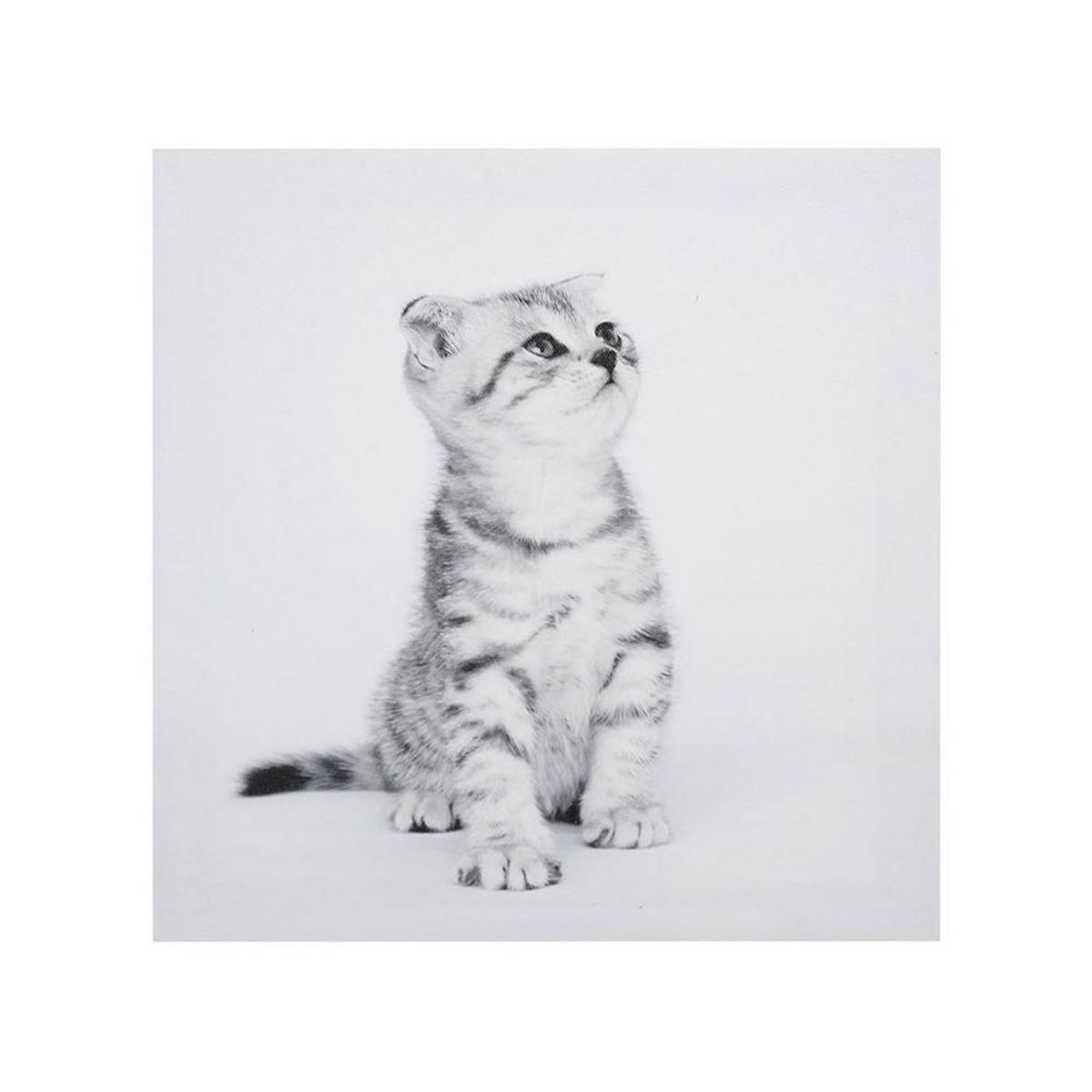 OSTARIA Ensemble de 4 tableaux sur toile imprimée 28x28 cm Funny