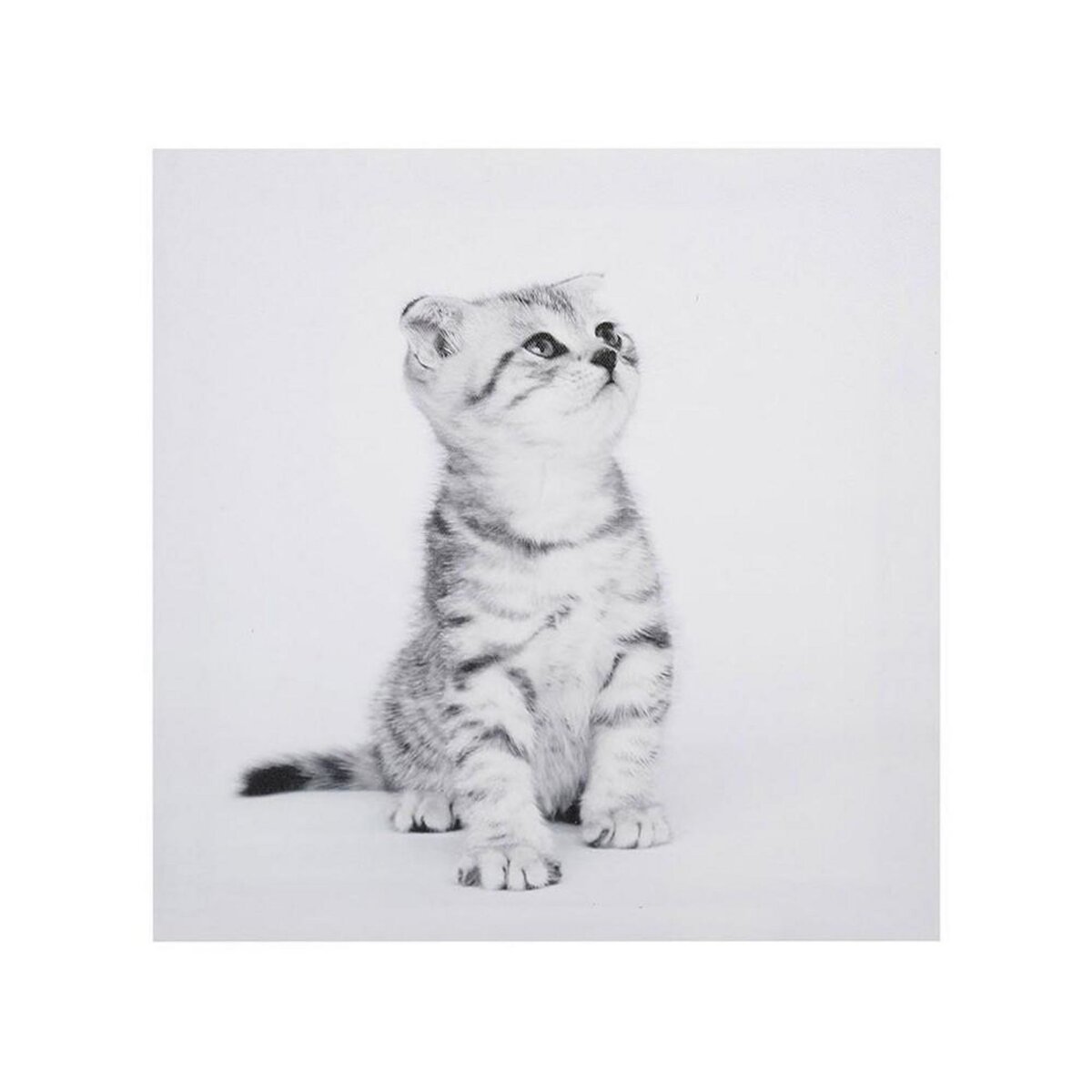 OSTARIA Ensemble de 4 tableaux sur toile imprimée 28x28 cm Funny