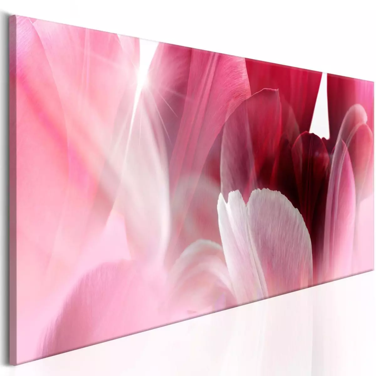 Paris Prix Tableau Imprimé  Flowers : Pink Tulips 