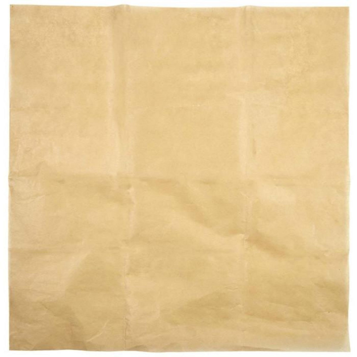 Paris Prix Lot de 6 Feuilles de Cuisson  Vapeur  40cm Marron