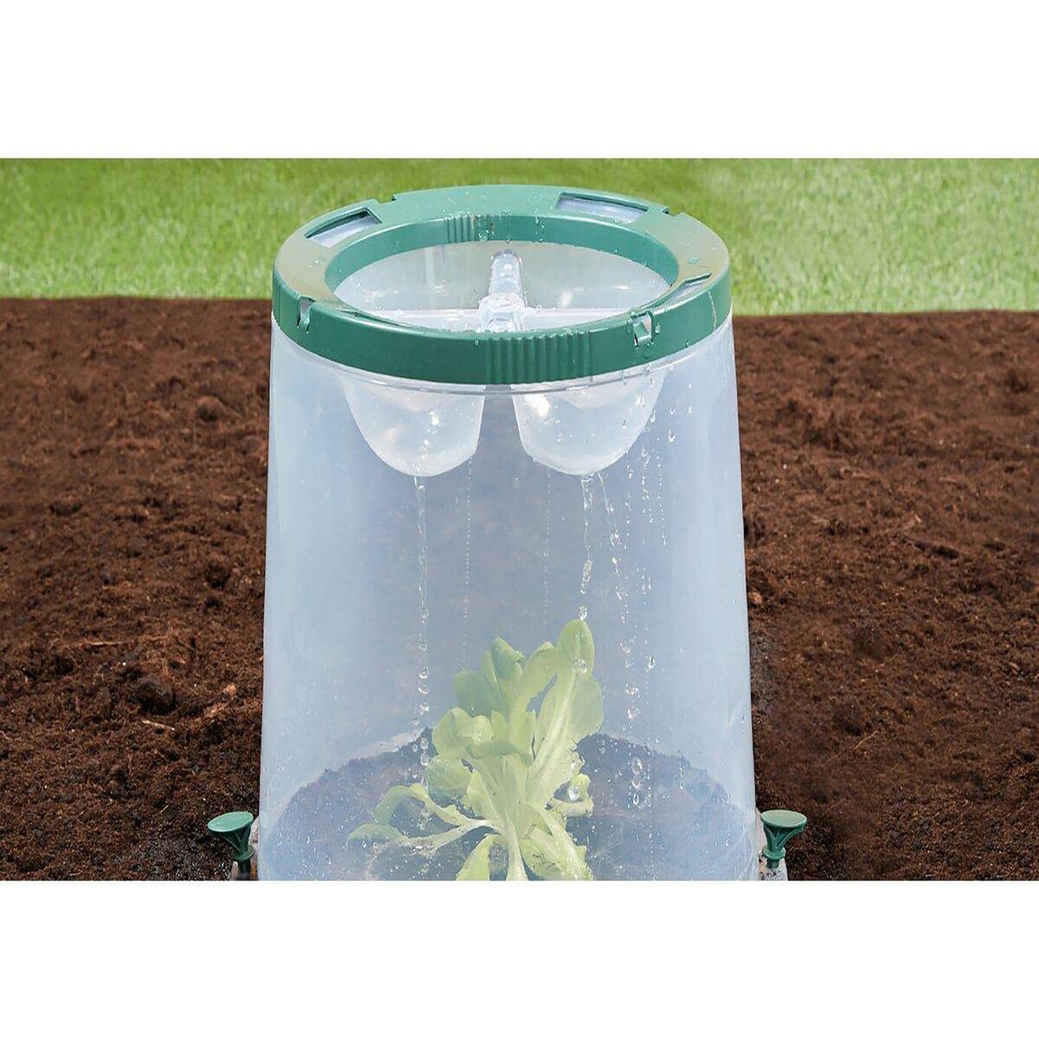 Voir la diapositive 4 : Habitat et Jardin Kit de 3 cloches de culture  Sunny