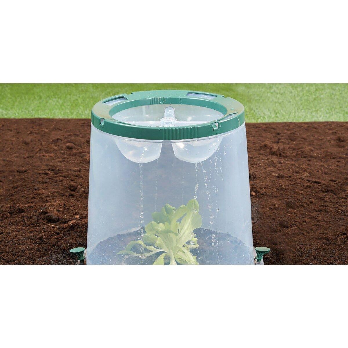 Habitat et Jardin Kit de 3 cloches de culture  Sunny