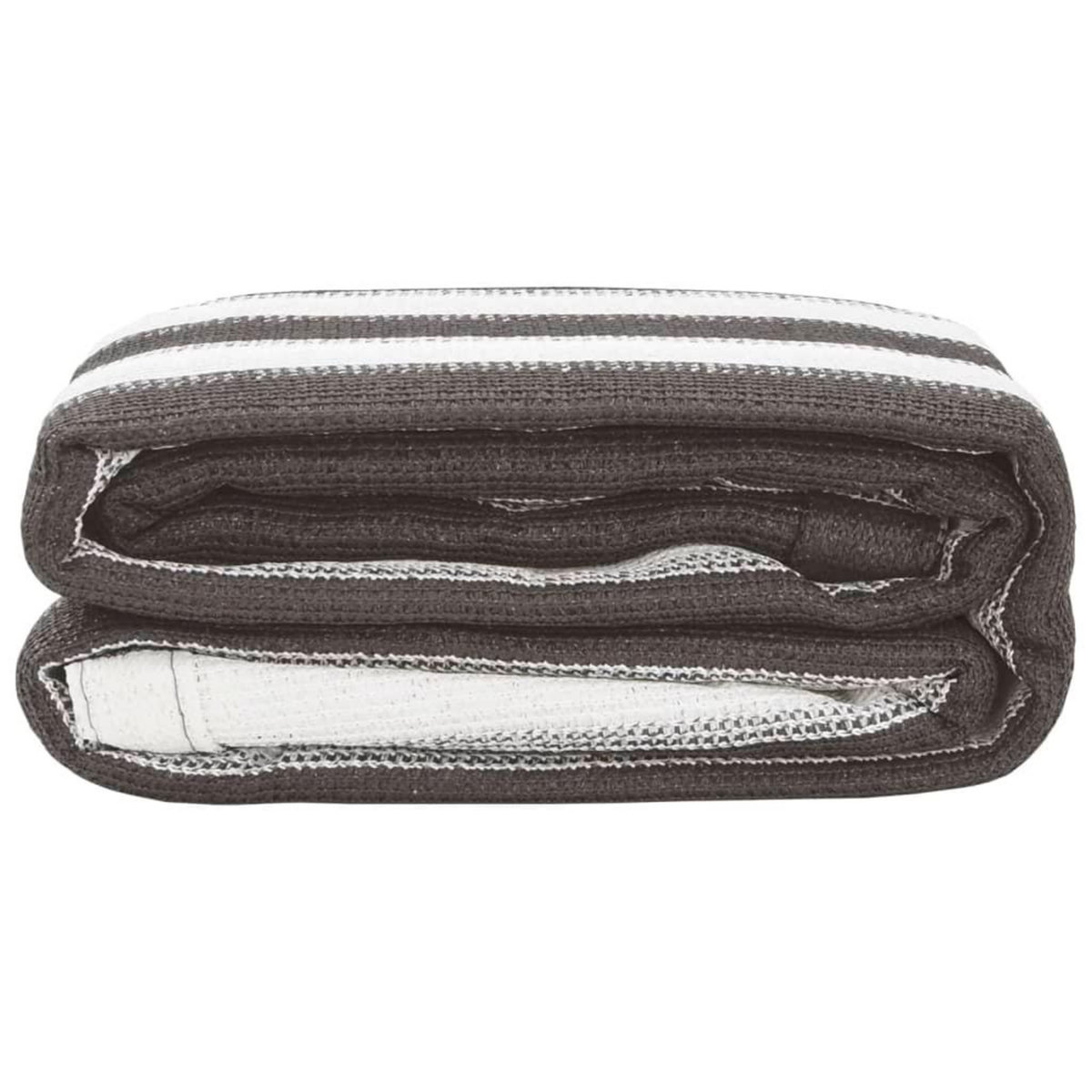 VIDAXL Tapis de tente 250x450 cm Anthracite et blanc