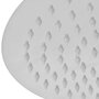VIDAXL Tete de douche plongeante ronde en acier inoxydable 25 cm