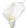 Voir la diapositive 2 : ATMOSPHERA Fleur Artificielle  Arôme  78cm Blanc