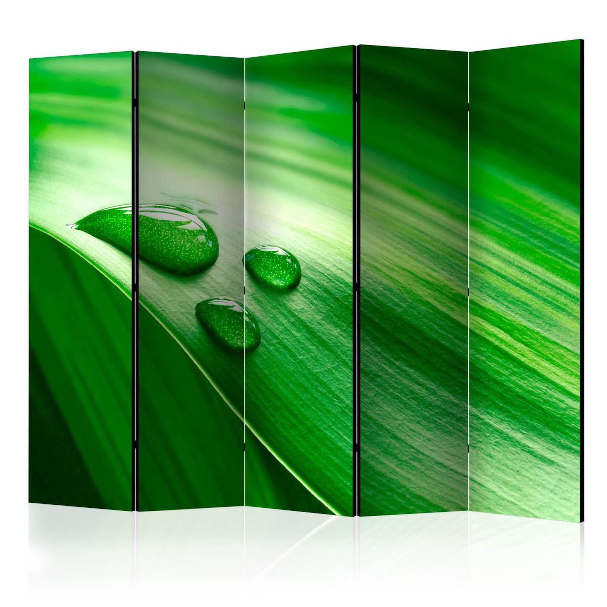 Paris Prix Paravent 5 volets  leaf & three drops of water  172x225cm