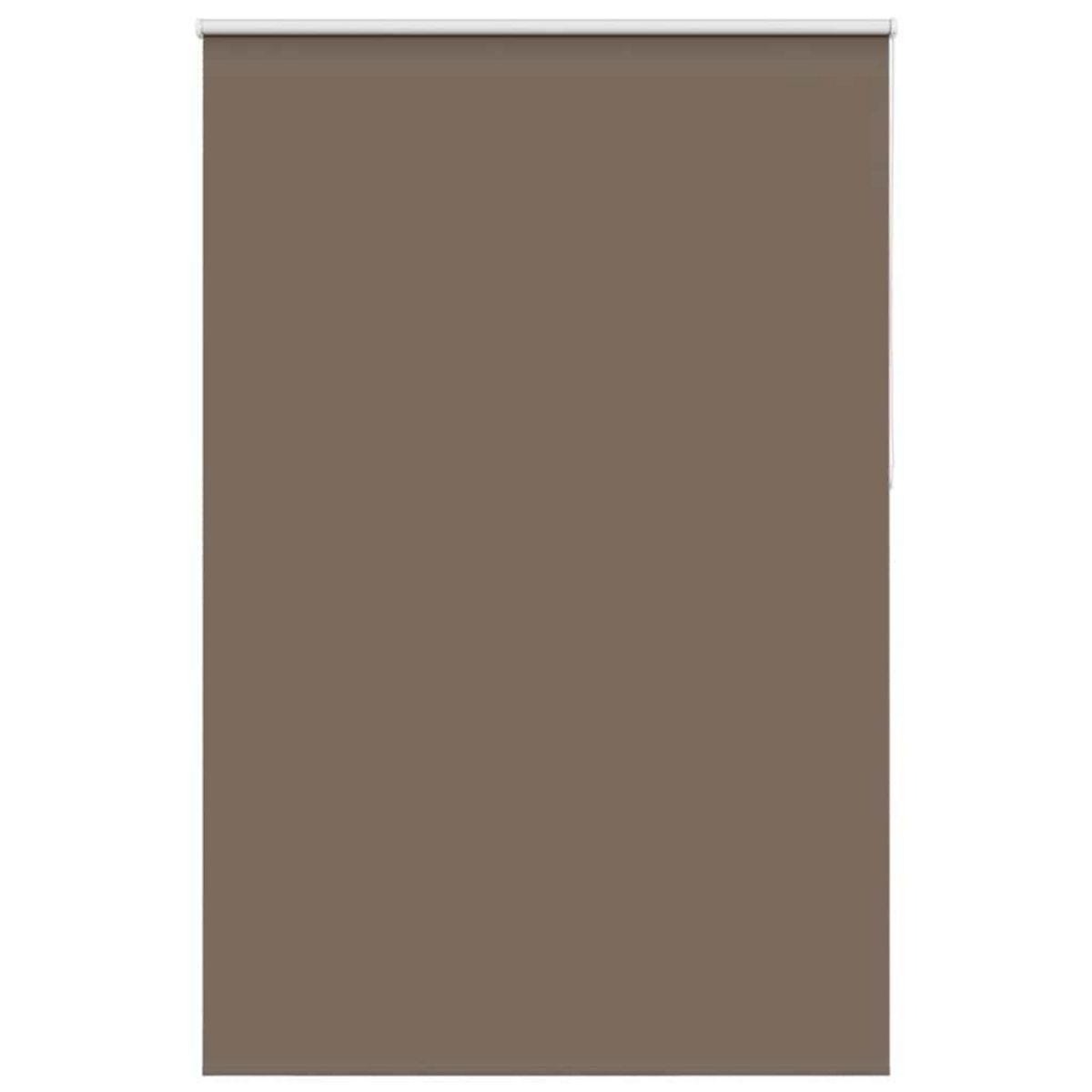 VIDAXL Store enrouleur occultant cafe 165x210cm largeur du tissu