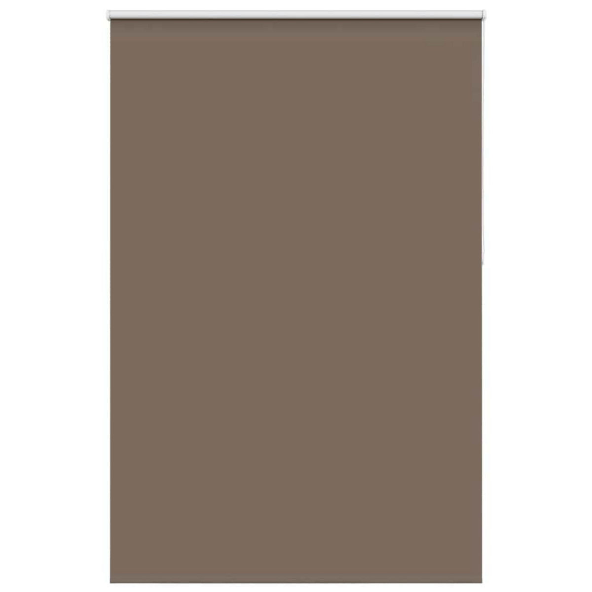 VIDAXL Store enrouleur occultant cafe 165x210cm largeur du tissu