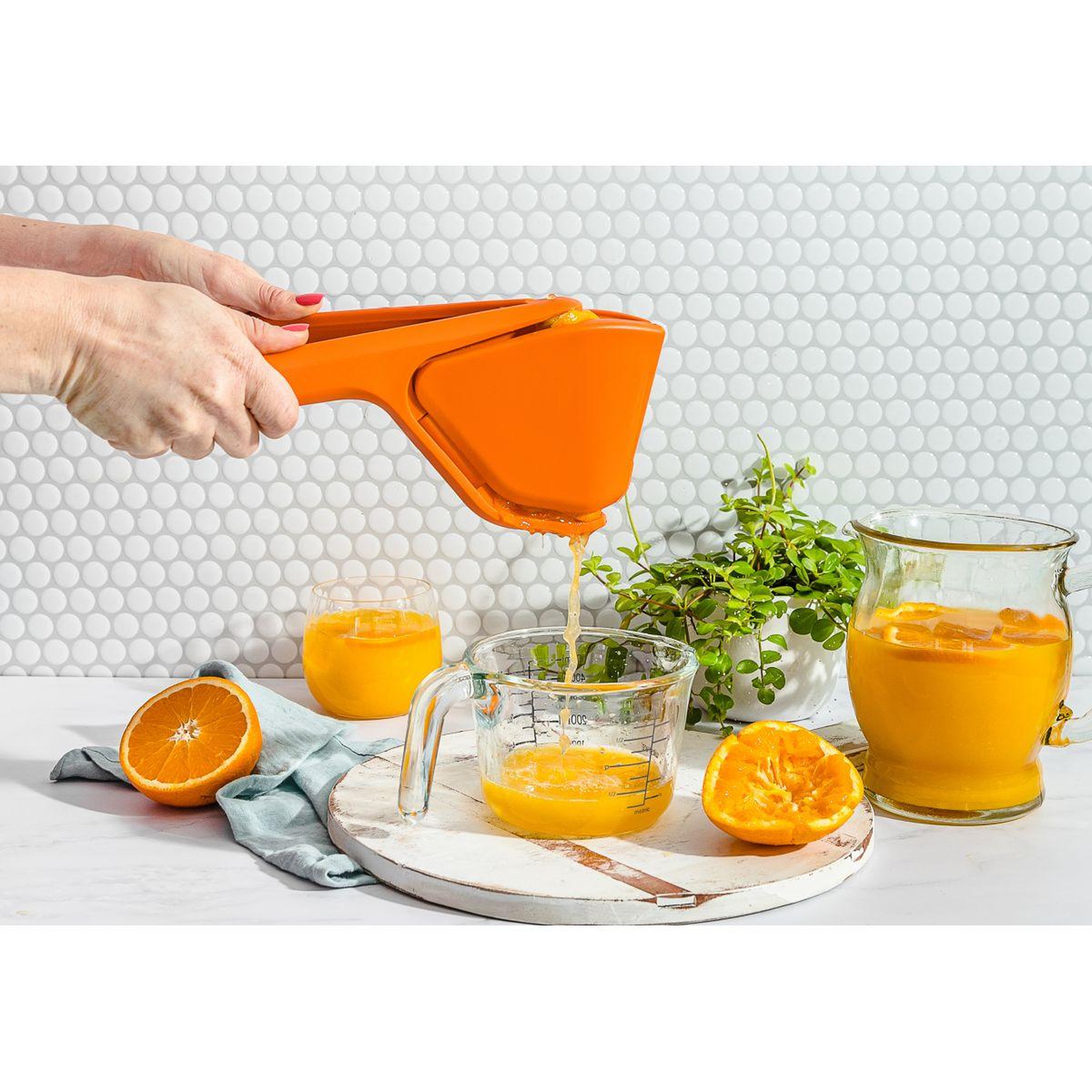Voir la diapositive 3 : Dreamfarm Presse-agrumes orange
