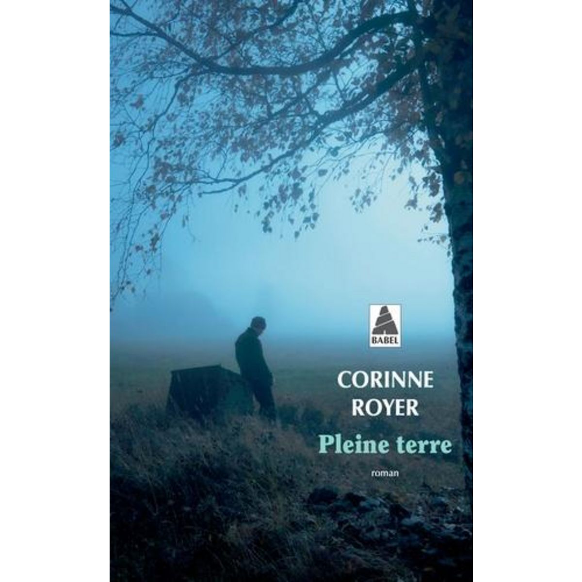 PLEINE TERRE, Royer Corinne