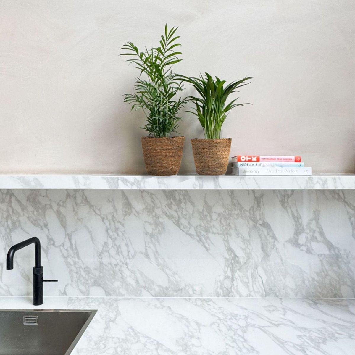 PLANT IN A BOX Petits Dypsis et Chamaedorea - Lot de 2 avec panier - Hauteur 25-40cm - ⌀12cm