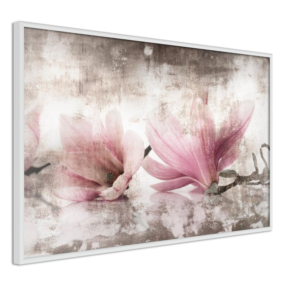 Paris Prix Affiche Murale Encadrée  Picked Magnolias